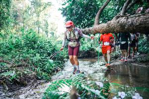 BIB: 
                            <button type="button" onclick="openModal(25449534)" class="btn btn-primary btn-sm float-right btn-popup" data-toggle="modal" data-target=".modal-high-quality">
                        <i class="fas fa-shopping-cart"></i> Add to Cart
                    </button>
                                            <button type="button" onclick="isThisMe(25449534, true)" class="btn btn-success btn-sm float-right btn-popup btn-isme hidden" data-toggle="tooltip" data-placement="bottom" title="นี่คือรูปของคุณใช่ไหม คลิกที่นี่เพื่อเอาเข้าอัลบั้ม">
                        <i class="fas fa-plus"></i> Add to album
                    </button>
                    <button type="button" onclick="isThisMe(25449534, false)" class="btn btn-warning btn-sm float-right btn-popup btn-isnotme hidden">
                        <i class="fas fa-ban"></i> Remove from album
                    </button>